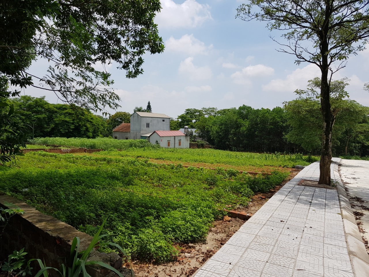 12 Lô Nhà vườn dự án Tái định cư Vai Réo Hòa Lạc diện tích 180m2 - 380m2
