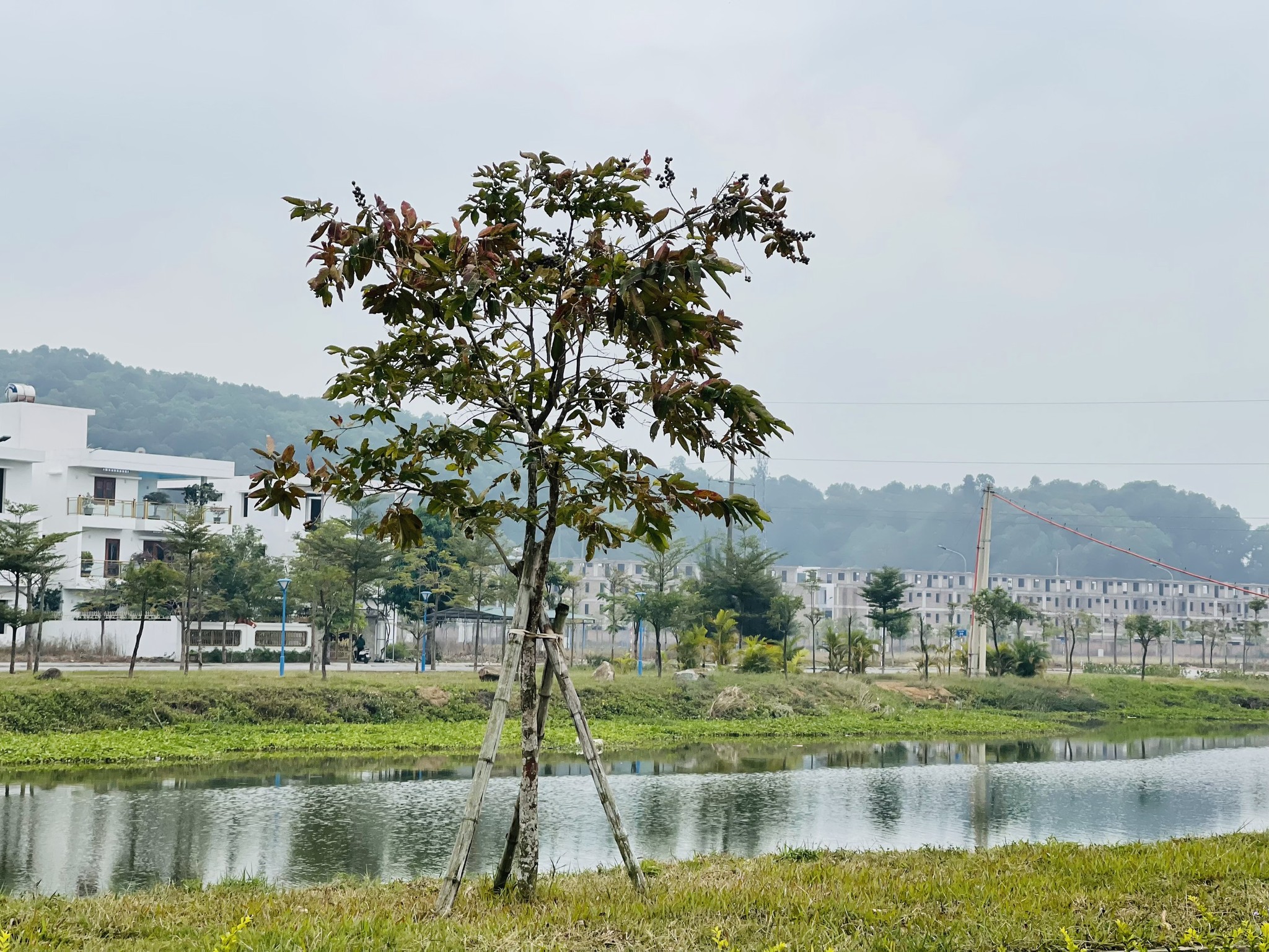 Sông Đơ lá phổi xanh dọc TP Sầm Sơn hội tụ những siêu đô thị nghỉ dưỡng cao cấp